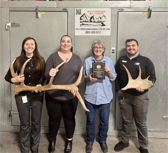 Love spoiling your pets?