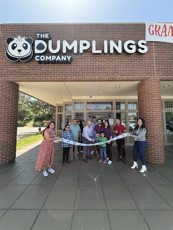 The Dumplings Company