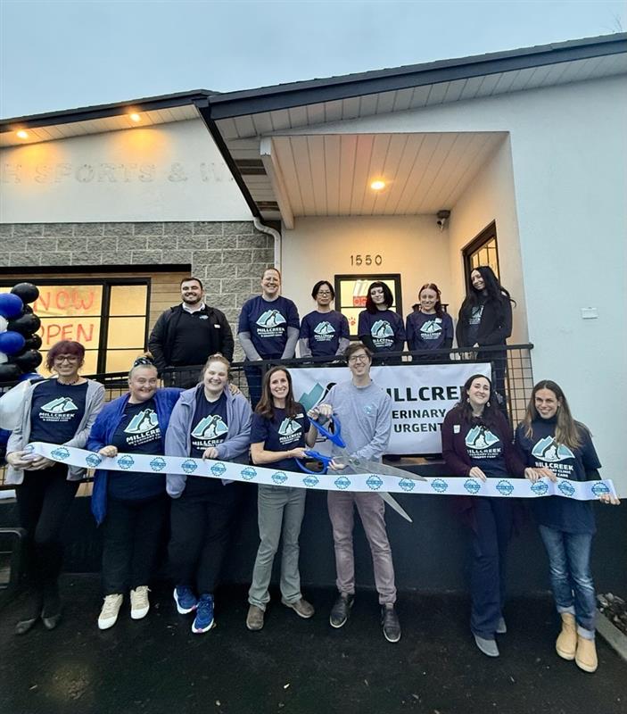 ab19359c-7763-47b5-a4b1-685562465871